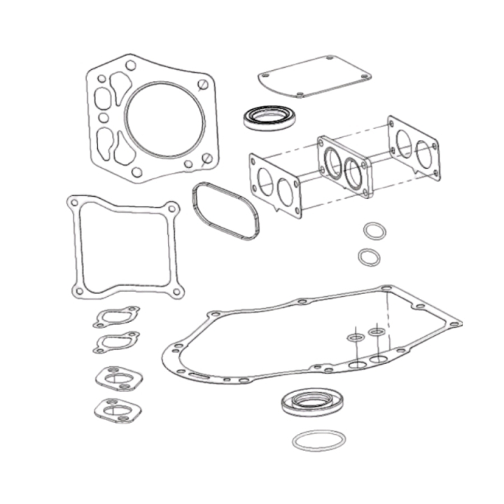 Gasket Kit in the group at Gräsklipparbutiken (5985994-01)