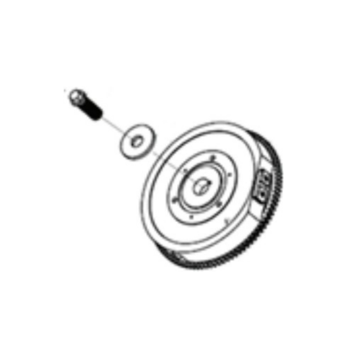Flywheel Kit in the group at Gräsklipparbutiken (5986056-01)