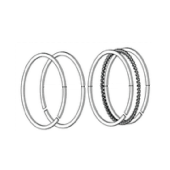 Piston ring in the group at Gräsklipparbutiken (5993489-14)