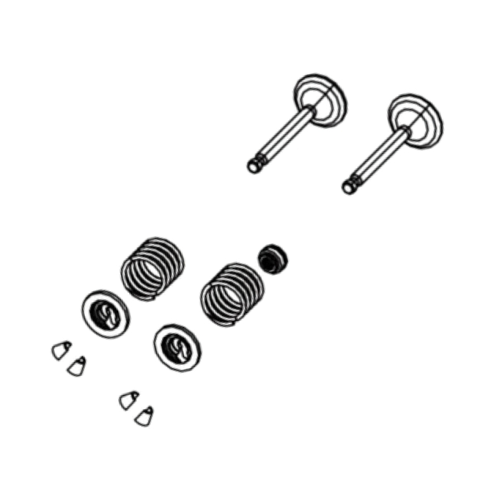 Valve kit in the group  at Gräsklipparbutiken (5993489-84)
