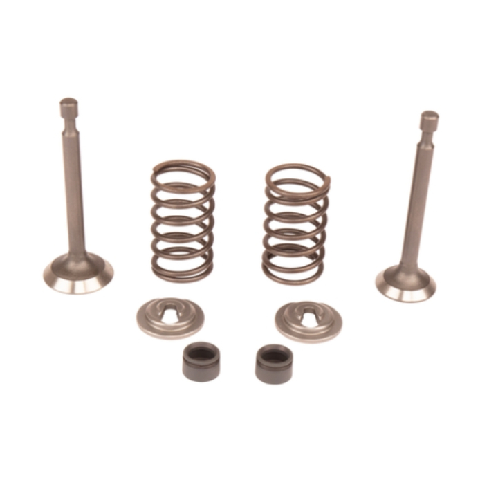 Valve Kit 5993490-42 in the group  at Gräsklipparbutiken (5993490-42)