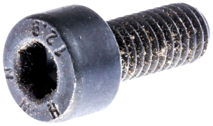 Screw Mc6S 5X14 in the group at Gräsklipparbutiken (7255328-55)