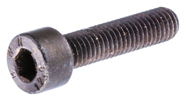 Screw Mc6S 5X22 7255332-55 in the group  at Gräsklipparbutiken (7255332-55)