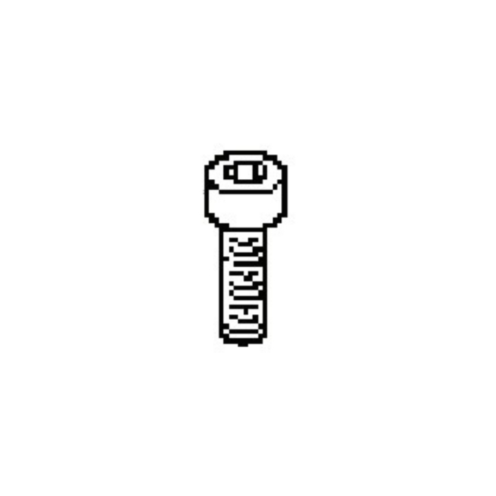 Screw 7255333-65 in the group at Gräsklipparbutiken (7255333-65)