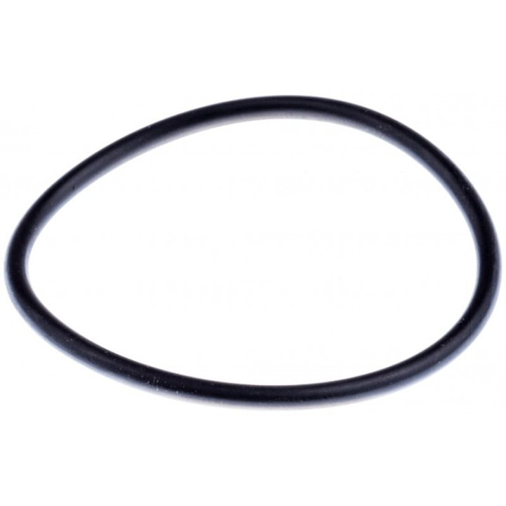O-Ring in the group at Gräsklipparbutiken (7404416-00)