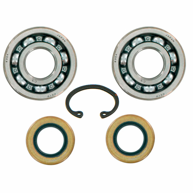 Kit Bearing And Gasket 5018562-01