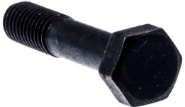 Screw 5022065-01