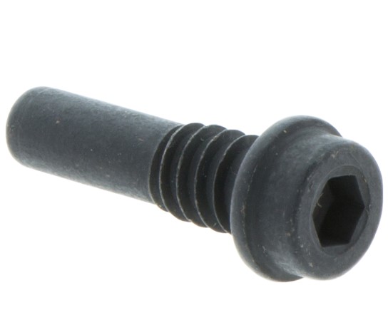 Screw 5032151-01