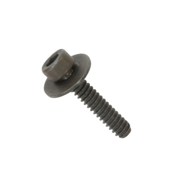 Screw 5032177-25