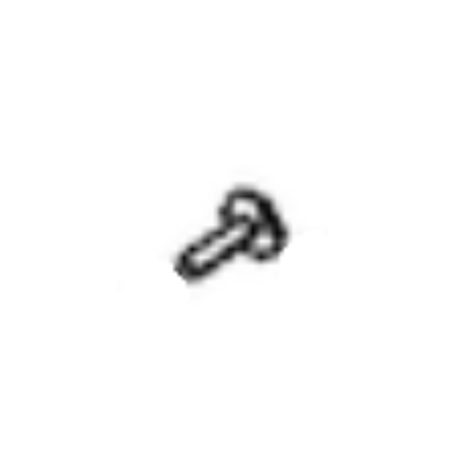 Screw