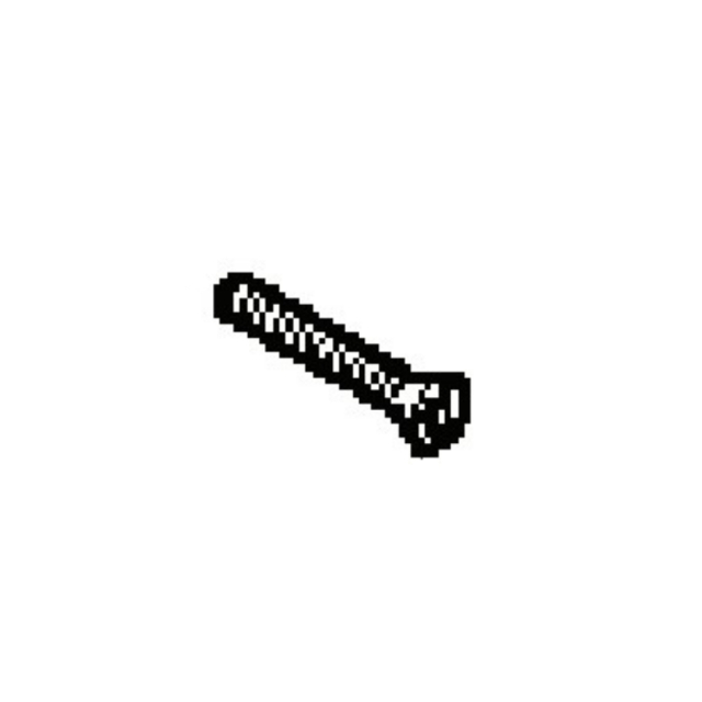 Screw