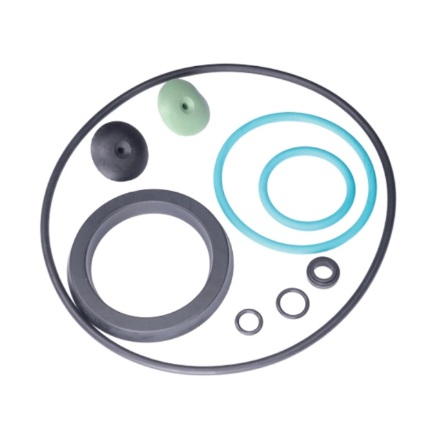 Bruck Set -Viton- For 884 5203306-01