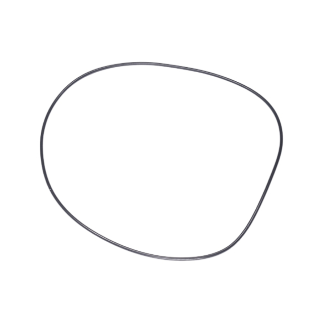 O-Ring 5203748-01