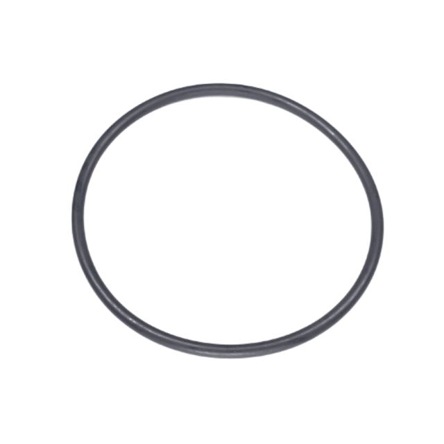 O-Ring 5203904-01