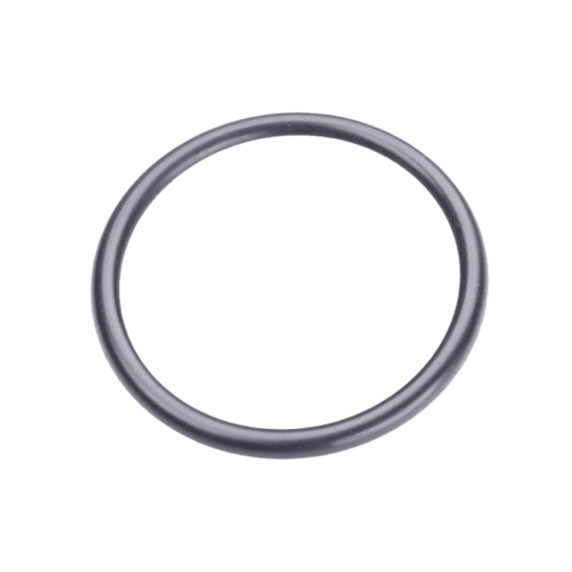 O-Ring 20X2 5204014-01