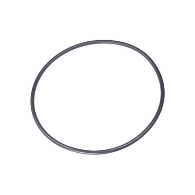 O-Ring 5204153-01