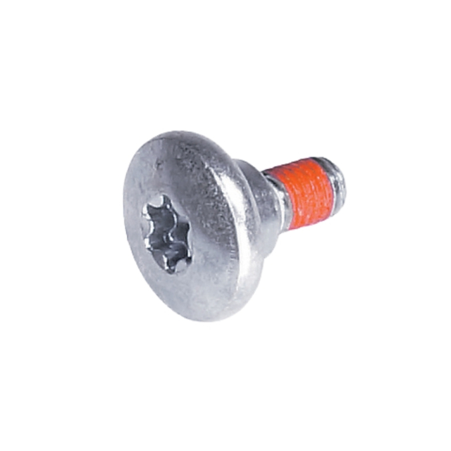 Screw 5204634-01
