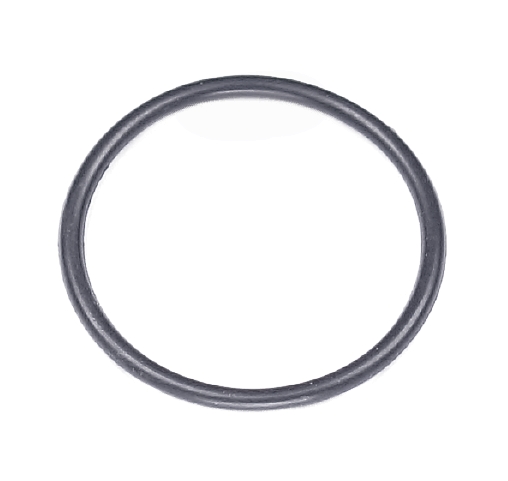 O-ring 1