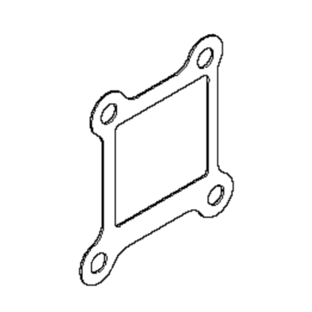 Gasket 5216346-01