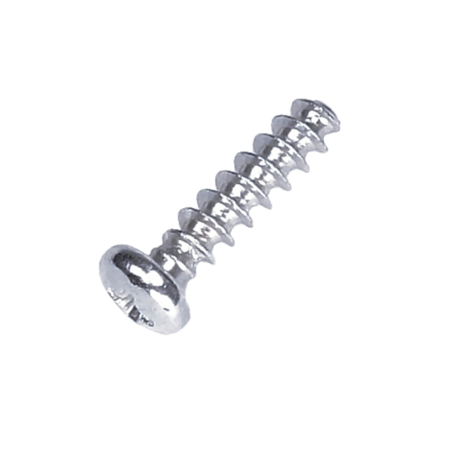 Screw With Head 5219480-01