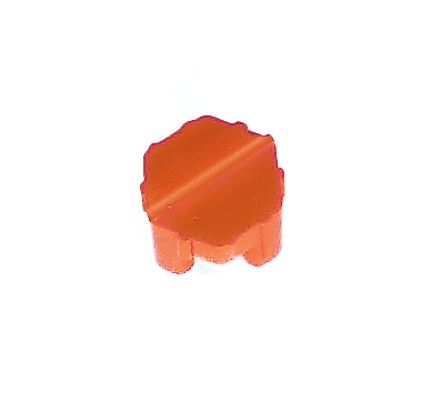 Nut holder