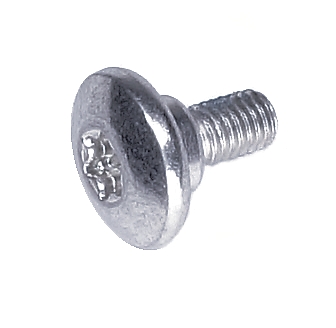 Screw
