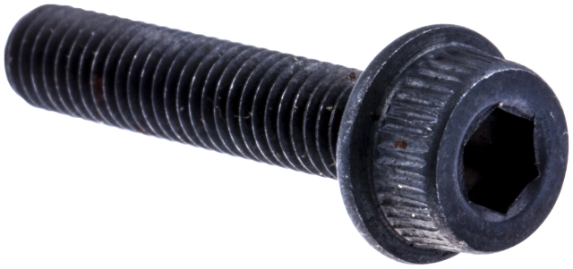 Screw