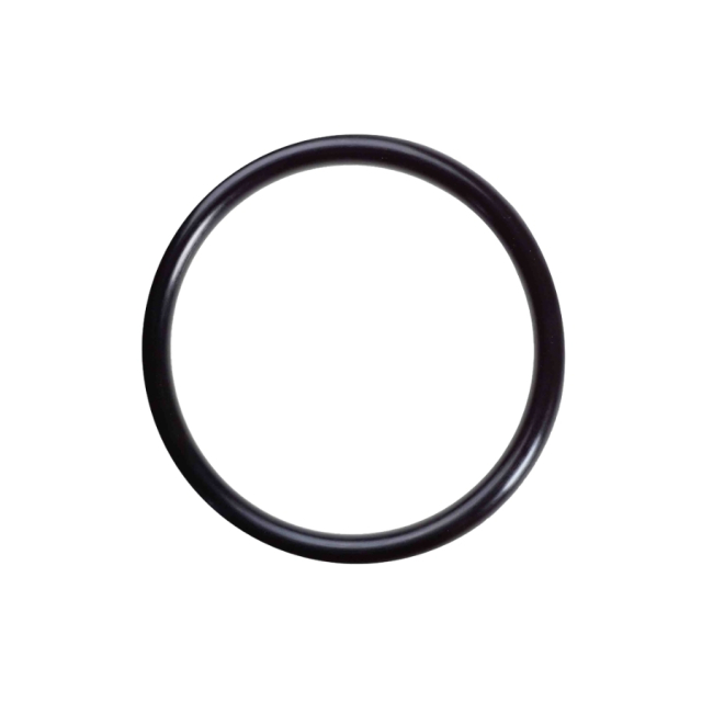 Ring O-Ring 5310077-13