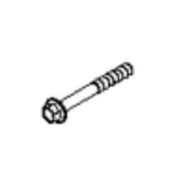 Screw