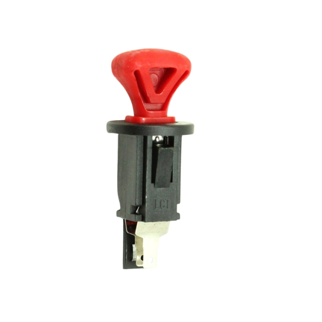 Key Start Assy 5324249-54