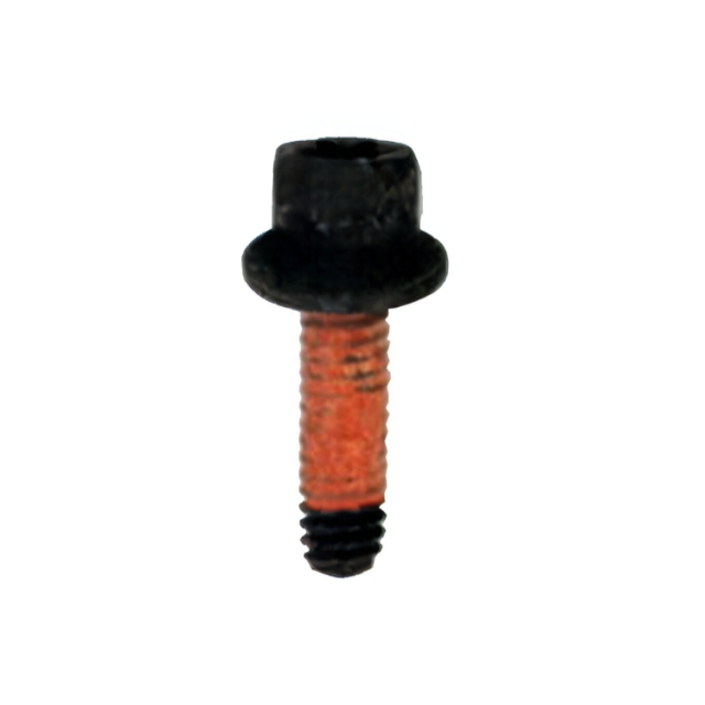Screw 5450039-02