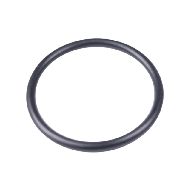 O-Ring 5784711-01