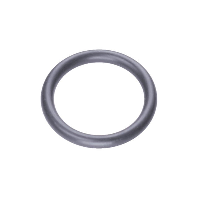 O-Ring 5787605-01