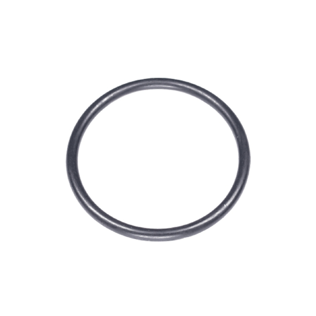 O-Ring 5787649-01