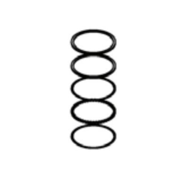 Kit Kit Piston Rings Service 5796290-01