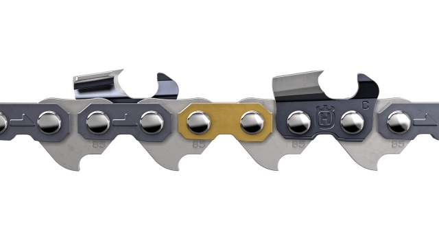 Chain C85 100' 5816266-01