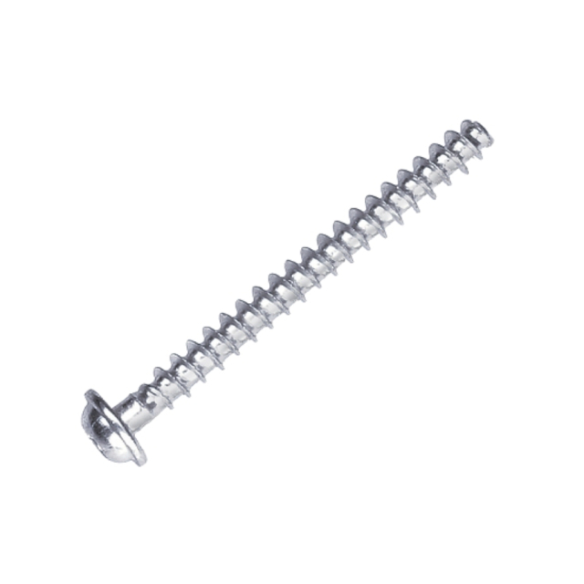 Screw 5850119-01