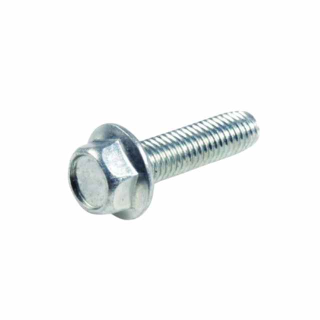 Screw 5875921-01
