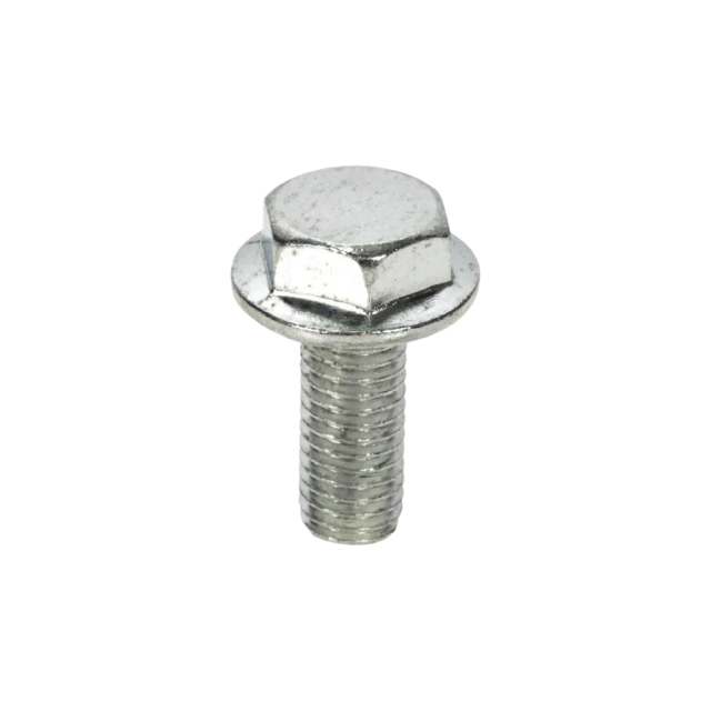 Screw