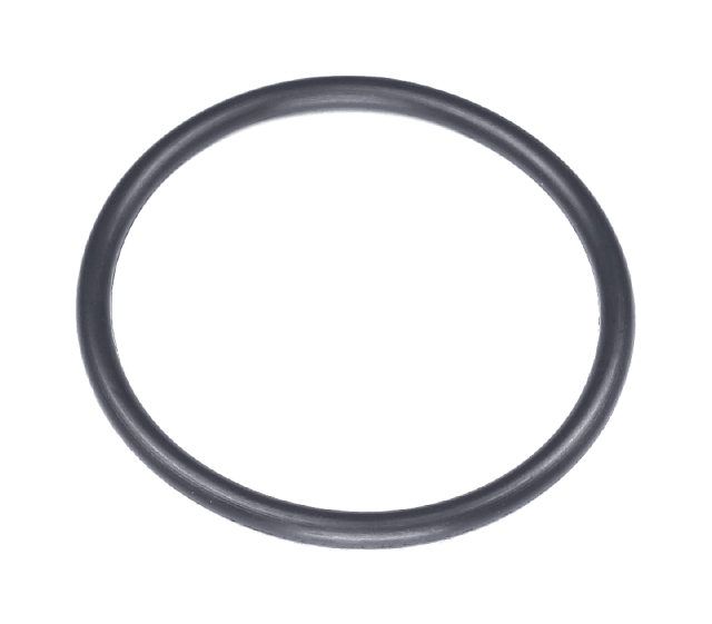O-ring 51X4