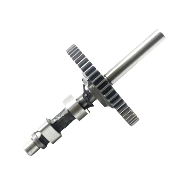 Camshaft b&s 695285