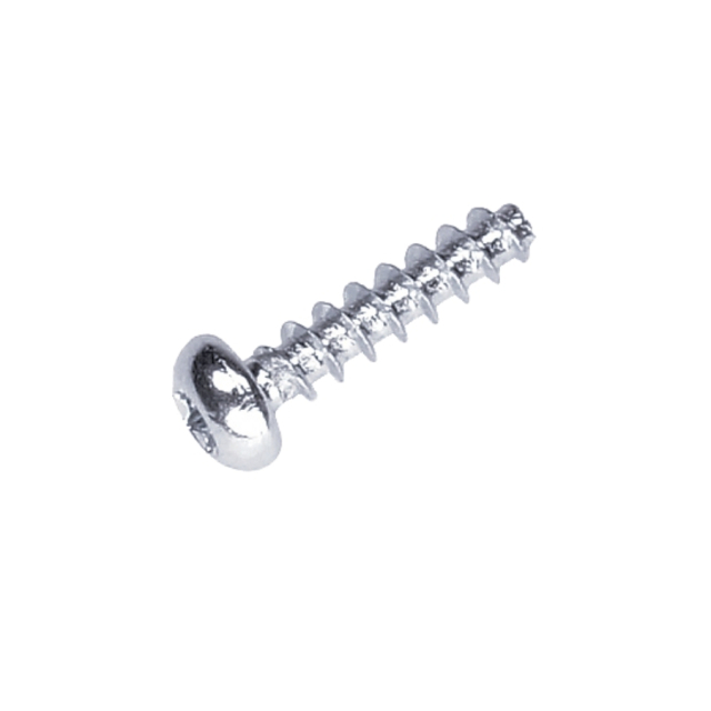 Screw St4.8*20 5900935-01