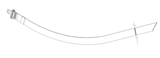 Belt And Buckle Assy 5935618-01