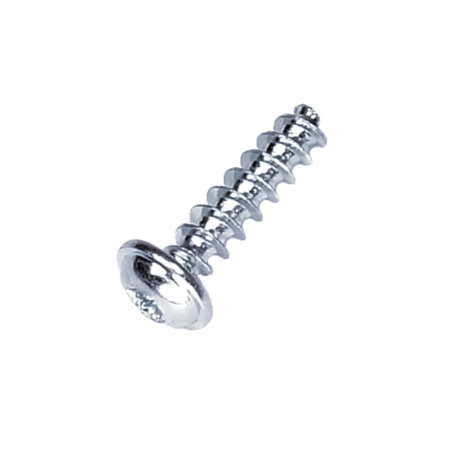 Screw 5972179-01