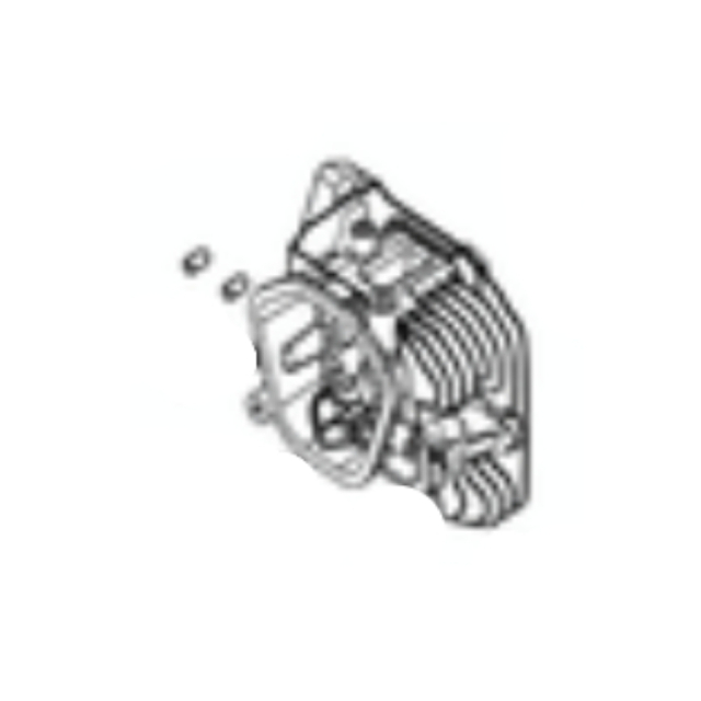 Cylinder head (sk4201000.1)