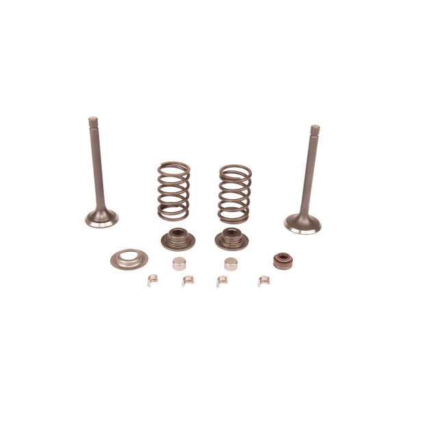 Valve kit