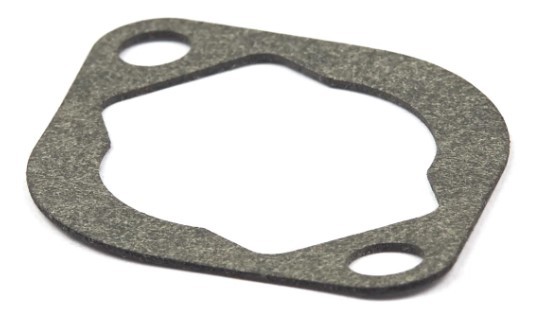 Gasket Briggs