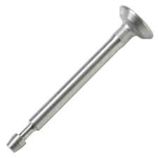 Intake valve