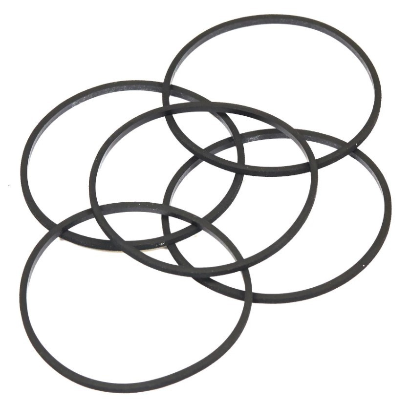 Gasket (5 X 281165S)