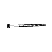 Screw Screw